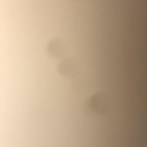 Meet your Posher, Melva